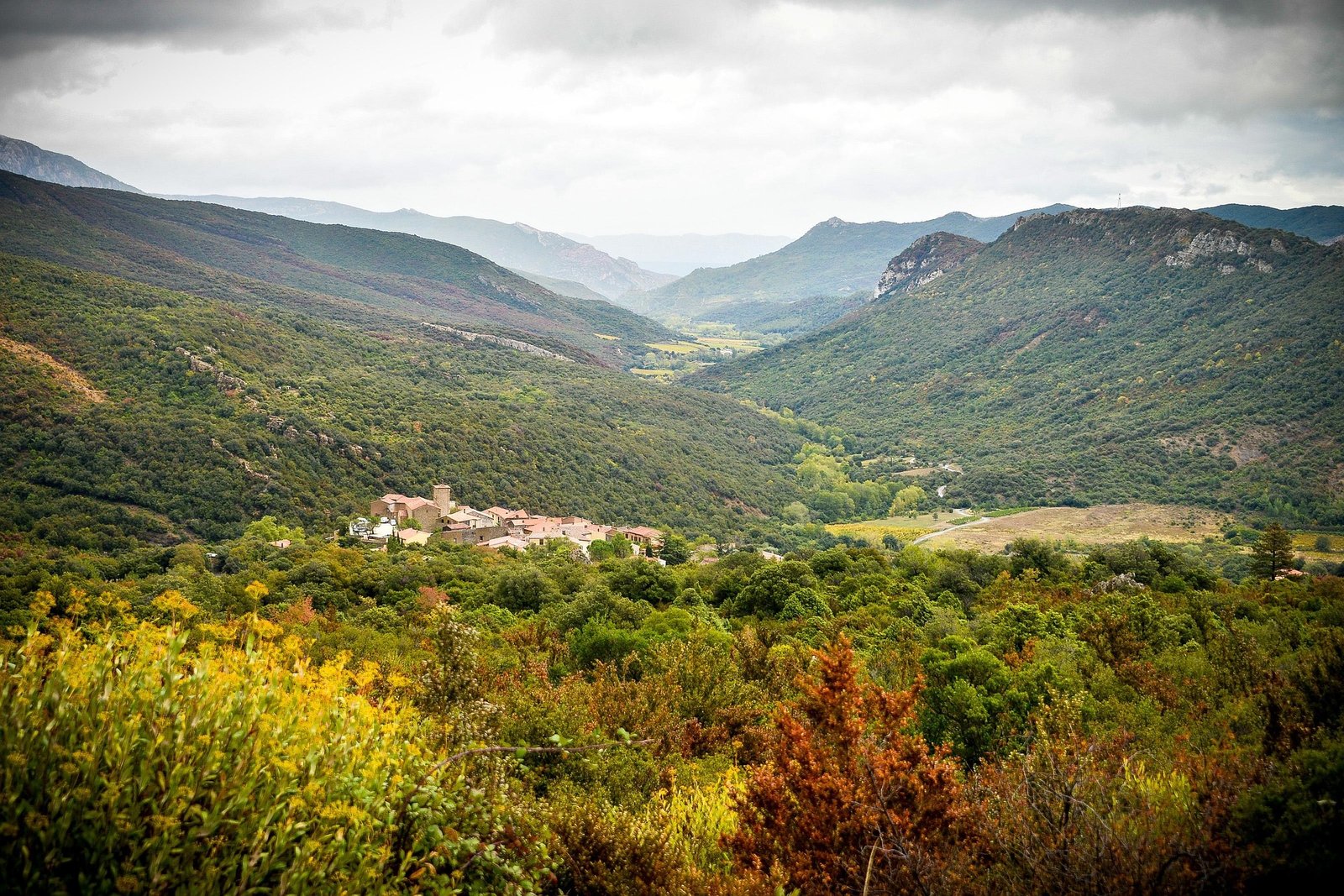 Le Gîte Cathare au milieu de la nature dans l'Aude